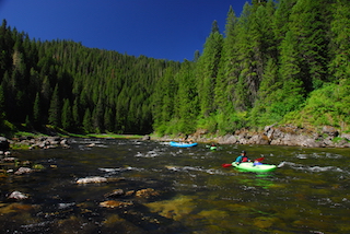 High quality habitat is available upstream of the dams.